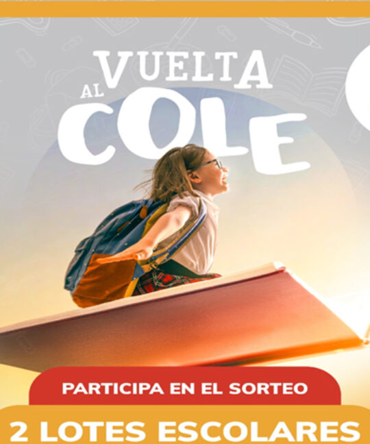 Sorteo lotes escolares