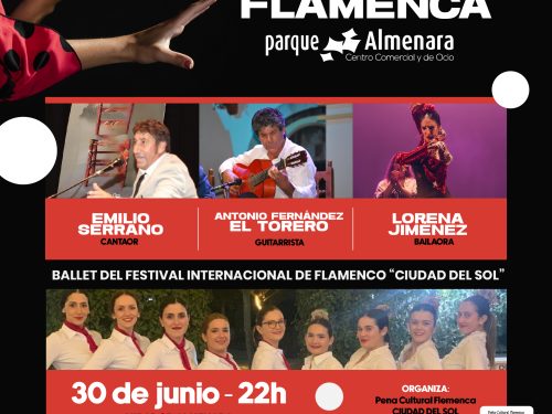 IV NOCHE FLAMENCA EN PARQUE ALMENARA